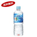 【送料無料2ケース】おいしい水 六甲　アサヒ　600ml　ペット　24本×2★一部、北海道、沖縄のみ別途送料が必要となる場合があります