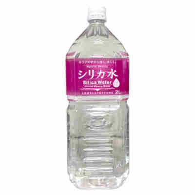 Other - 【2ケース】シリカ水 友桝飲料 2L ペット 6本入×2