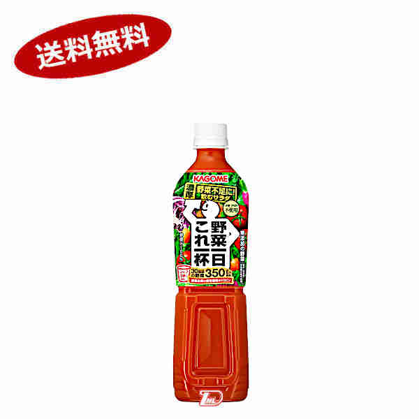 【送料無料2ケース】野菜一日これ一杯　カゴメ　720ml ペット　15本入×2★北海道、沖縄のみ別途送料が必要となります