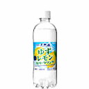 【2ケース】伊賀の天然水 ゆずレモンスパークリング サンガリア 500ml ペット 24本入×2(4)