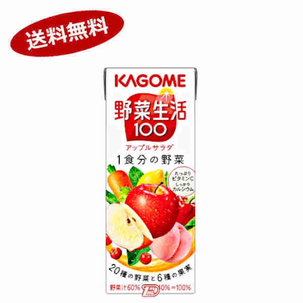 【送料無料2ケース】野菜生活100　アップルサラダ　カゴメ　200ml　パック　24本入×2★一部、北海道、沖縄のみ別途送料が必要となる場合があります