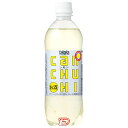 【2ケース】タカラcanチューハイ レモン ペットボトル 宝酒造 500ml ペット 12本入×2