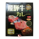 【1セット】飛騨牛カレー　覇楼館　250g　10個