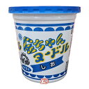 【1ケース】金ちゃんヌードル しお 徳島製粉 12個入(4)