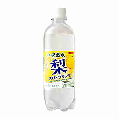 【2ケース】伊賀の天然水 梨 スパークリング サンガリア 500ml ペット 24本入×2