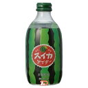 【2ケース】すいかサイダー　友枡飲料　300ml　24本×2