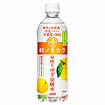 【2ケース】和ノチカラ 旬搾りゆず 炭酸水 ダイドー 500ml ペット 24本入×2
