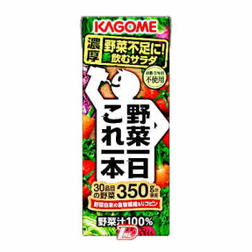 【2ケース】野菜一日これ一本　カゴメ　200ml　紙パック　24本入×2