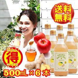 【徳用500mL】●無添加●シャンティ　スウィッチェル ゆず＆ジンジャー(500mL×6本)★7倍希釈★【SHANTI SWITCHEL】自然派飲料九州土産/佐賀土産/ウェルネスドリンク/ヨガ【生姜酢/しょうが酢/柚子酢/ゆず酢/りんご酢】【ラッキーシール対応】