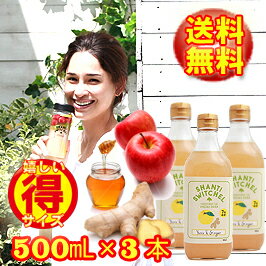 【徳用500mL】●無添加●シャンティ　スウィッチェル ゆず＆ジンジャー(500mL×3本)★7倍希釈★【SHANTI SWITCHEL】クラフトビネガー/自然派飲料ウェルネスドリンク/ヨガ【生姜酢/しょうが酢/柚子酢/ゆず酢/りんご酢】【ラッキーシール対応】