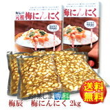 静岡市　梅辰株式会社　梅にんにく2kg(500g×4袋