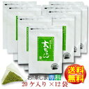 【徳用】【送料無料♪】玄ちゃん（抹茶入り玄米茶）5g×20ケ入り×12袋★送料無料！★【梅辰株式会社：静岡県】◆お！茶ポイント30点◆【ラッキーシール対応】