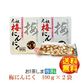 静岡市　梅辰株式会社　梅にんにく100g×2袋