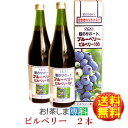 ミホミ　ブルーベリービルベリー100（720ml×2本）●果汁100％ジュース●ミホミフーズ(株)(静岡市)★送料無料★【静岡お土産・健康飲料】【こっこ・いっぷくロウ・あべ川ベア】◆お！茶ポイント25