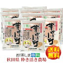 籾発芽玄米有機米・芽吹き小町(1kg×10袋)★あきたこまち★秋田県大潟村産★【送料無料・徳用】【JAS認証有機栽培米】【(有)粋き活き農場/井出教義】