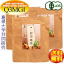 【有機JAS認定】島根有機ファーム「有機 菊芋桑茶(2.5g×30包入)×3袋セット」 無添加 無漂白ティーバッグ使用【島根県桜江町桑葉生産組合】【イヌリン茶】...