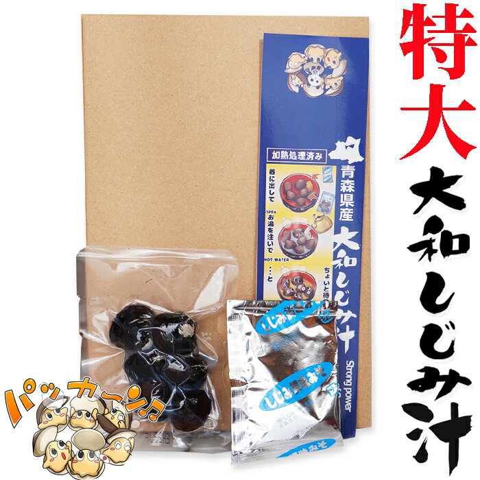 青森県産　特大　大和しじみ汁 10食セット　徳用　しじみちゃ
