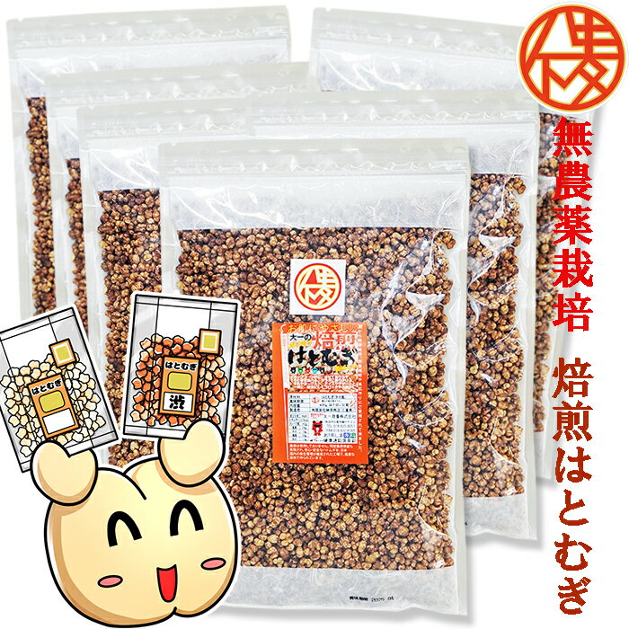 バーリーマックス 1kg×4個 送料無料 スーパー大麦 食物繊維 レジスタントスターチ フルクタン β-グルカン ベータグルカン 無添加 スーパーフード 雑穀 大麦 玄麦 もち麦 ダイエット 糖質制限 糖質オフ 腸活 食事 健康 美容 送料込み 自然健康社【コンビニ受取対象商品】