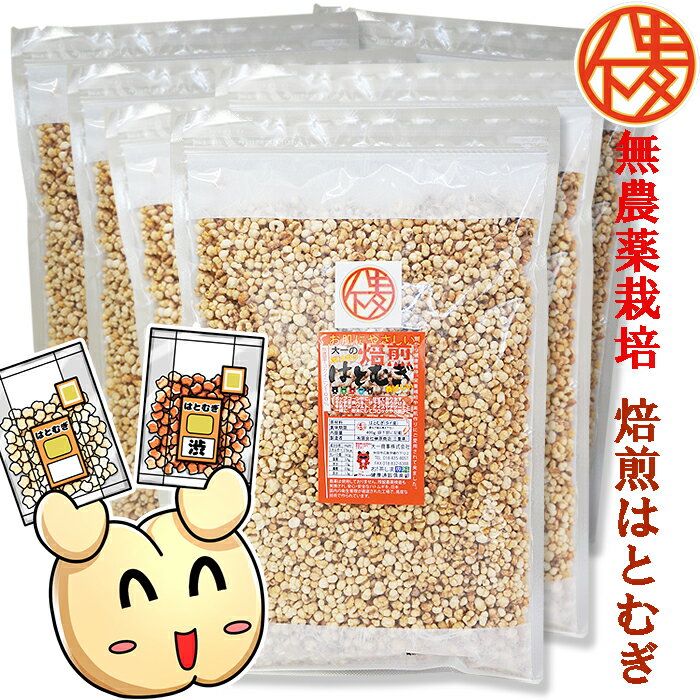 無農薬栽培と鮮度が自慢♪皮去り(精白)大一のハトムギ徳用400g×6袋はとむぎ【製造：榊原商店(三重県)】焙煎はとむぎ【賞味期限12ヵ月(常温)】【いつでもチャック　大容量】◆お！茶ポイント24点◆【シリアル/cereal/グラノーラ/Granola】