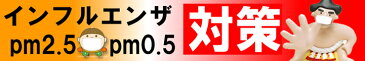【ポスト投函便】【楽天マラソン推奨】【送料無料♪】【個包装】ミナト製薬 サージカルマスク6枚入「日本製」【医療用マスク】【タピルスマスク】【PFE97%】ミナト製薬株式会社/東京都中央区銀座【surgical mask Medical mask】
