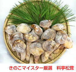 料亭松茸1kgx3袋（3000g）割れ欠け折れ訳あり品 有名料理店監修レシピ付き！【楽天ランキング受賞】【品質本位】【すき焼き】【バーベキュー】【キャンプ】【まつたけ】【マツタケ】【ホール限定】【3Kg】【業務用】冷凍松茸