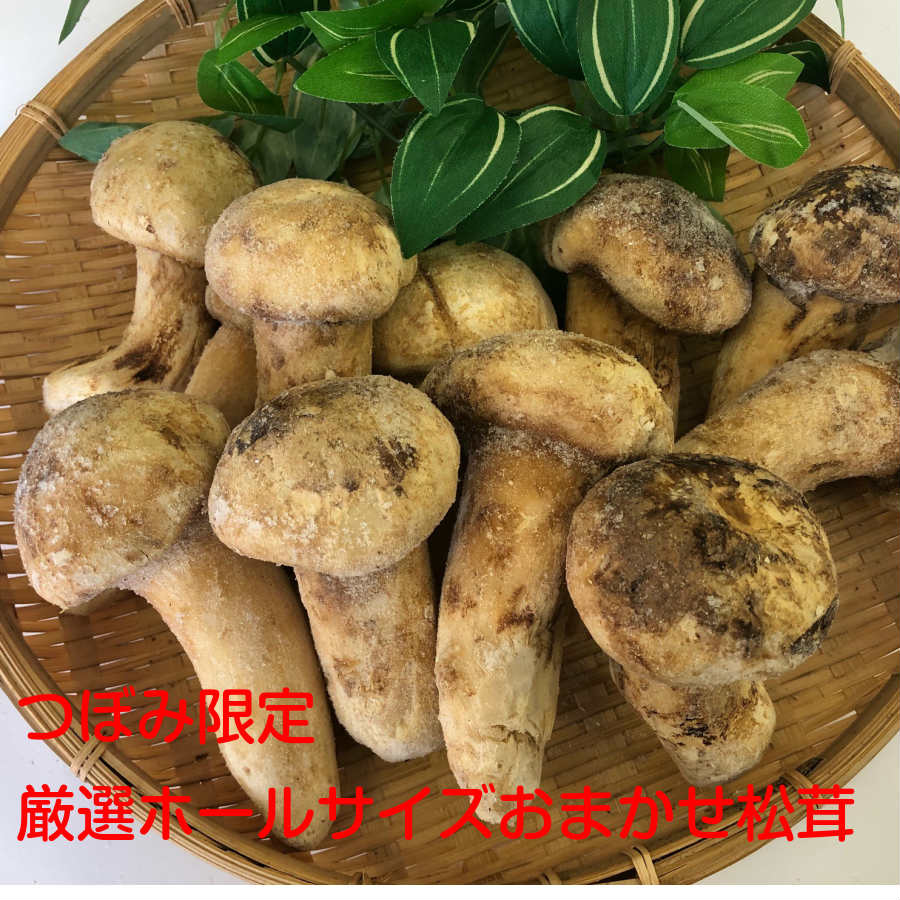 料亭松茸300g つぼみ限定 有名料理店監修レシピ付サイズお任せだからお得【楽天ランキング受賞】【訳あり】【秋の王様】【お吸い物】【バーベキュー】【キャンプ】【カニ蟹鍋】【まつたけ】【マツタケ】【松茸】冷凍松茸