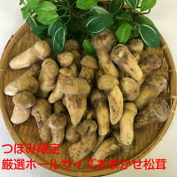 料亭松茸つぼみ品2