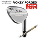 y[J[JX^z^CgXg Titleist{[PCtH[WhEFbW_Ci~bNS[hEXcA[CV[ VtgVOKEY FORGED WEDGE