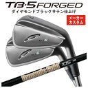 【本数選択式・メーカーカスタム】フォーティーン TB-5 フォージド アイアン ダイヤモンドブラックサテン仕上げダイナミックゴールド105 オニキス ブラックシ...