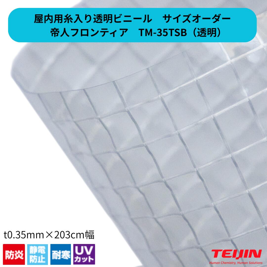 Rakuten - 【サイズオーダー】糸入り透明ビニール TM-35TSB クリアスルー t0.35mm ビニールカーテン 耐寒 帯電防止 防炎 帝人フロンティア 間仕切り 工場 倉庫 倉庫 業務用