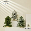 クリスマスツリー 卓上 40cm ミニツリー クリスマス 飾り オーナメント クリスマス雑貨 簡単な組立品 部屋 商店 可愛い 店舗 装飾 北欧 インテリア 人気 シンプル メリークリスマス おしゃれ 玄関に 飾り プレゼント