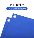 レジャー ブルーシート 2枚セット入り #3000 厚手 ハトメ付 花火 花見 防災 現場 屋根 屋根補修 災害用 補修 工事 建築 保管 雨よけ 雨除け 日よ...