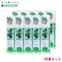 10本セット 公式 送料無 デンティス ポンプタイプ 120g セット割 口臭 歯磨き粉 おすすめ 人気 口臭ケア 歯みがき粉 はみがきこ オーラルケア 歯みがき ハミガキ粉 爽快 ブレスケア におい フレッシュ スッキリ 息ケア 洗浄 タバコ ミント リベルタ