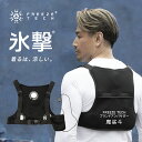 氷撃 フリーズテック FREEZE TECH 充電式氷嚢ベスト W001 Black LIDEF ペルチェベスト ワークライン ひんやり 暑さ対策 暑さ対策グッ...