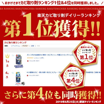 カビ取り剤最強レベルの洗浄力!カビダッシュ 特濃ストロングジェル 500ml あす楽便対応【カビ取りジェル カビ落とし 大掃除 お風呂 浴室 壁 タイル目地 シンク 強力 除去 ゴムパッキン リベルタ】