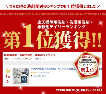 カビ取り剤最強レベルの洗浄力!カビダッシュ 特濃ストロングジェル 500ml あす楽便対応【カビ取りジェル カビ落とし 大掃除 お風呂 浴室 壁 タイル目地 シンク 強力 除去 ゴムパッキン リベルタ】