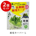 楽天代官山お買い物通りママラクリーン 鮮度キーパー2個セット （M10枚入り×2個/Lサイズ 8枚入り×2個どちらか選択） 野菜保存袋 新鮮袋 野菜保存袋 フリーザーバッグ 冷蔵庫 葉物野菜 野菜 果物 きのこ 保存 まとめ買い 食品保存 鮮度保持 保存袋 冷凍 エコ 洗って使える リベルタ rvsen