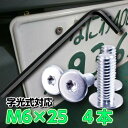 【ねじ4本&レンチ入り】 M6×25 字光式ナンバープレート対応 いたずら・盗難防止 スリムヘッドねじ 蛍光