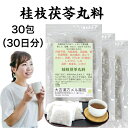 【薬局製剤】桂枝茯苓丸料 けいしぶくりょうがんりょう 30日分 20g×30包 漢方 漢方薬 漢方茶 煎じ薬 せんじ薬 ティーバッグ 茶 ティーパック 更年期 お茶 大人 女性 男性 高齢者 日本製 月経痛 生理痛 肩こり 眩暈 めまい 頭重 打ち身 しもやけ しみ 湿疹・皮膚炎 にきび