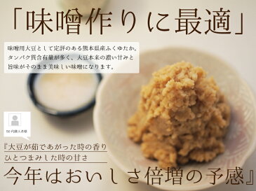 送料無料 大豆 20kg 29年産 国産 ふくゆたか フクユタカ 九州 熊本県産 あす楽 業務用 酢大豆 納豆 豆乳 味噌作り 豆腐 水煮 蒸し大豆 煎り豆 ポークビーンズ ひじき 昆布 サラダ 節分 豆まき 炒り豆