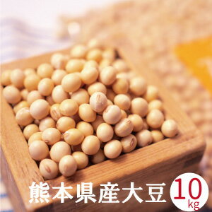 送料無料 大豆 10kg 29年産 国産 ふくゆたか フクユタカ 九州 熊本県産 あす楽 業務用 酢大豆 納豆 豆乳 味噌作り 豆腐 水煮 蒸し大豆 煎り豆用 ポークビーンズ ひじき 昆布 サラダ 【節分 豆まき 用の 煎り豆ではありません 生大豆です】