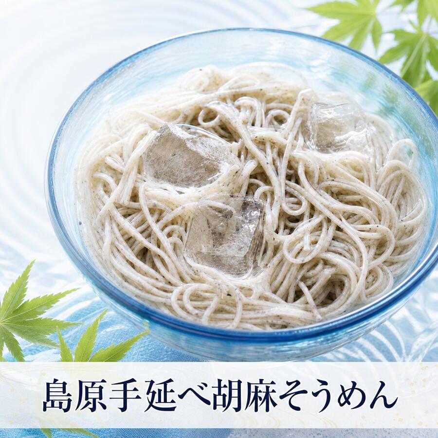 黒胡麻そうめん 島原手延べ素麺 10束/15束/30束/40束 ギフト お中元 夏の贈り物 ご家庭用にも