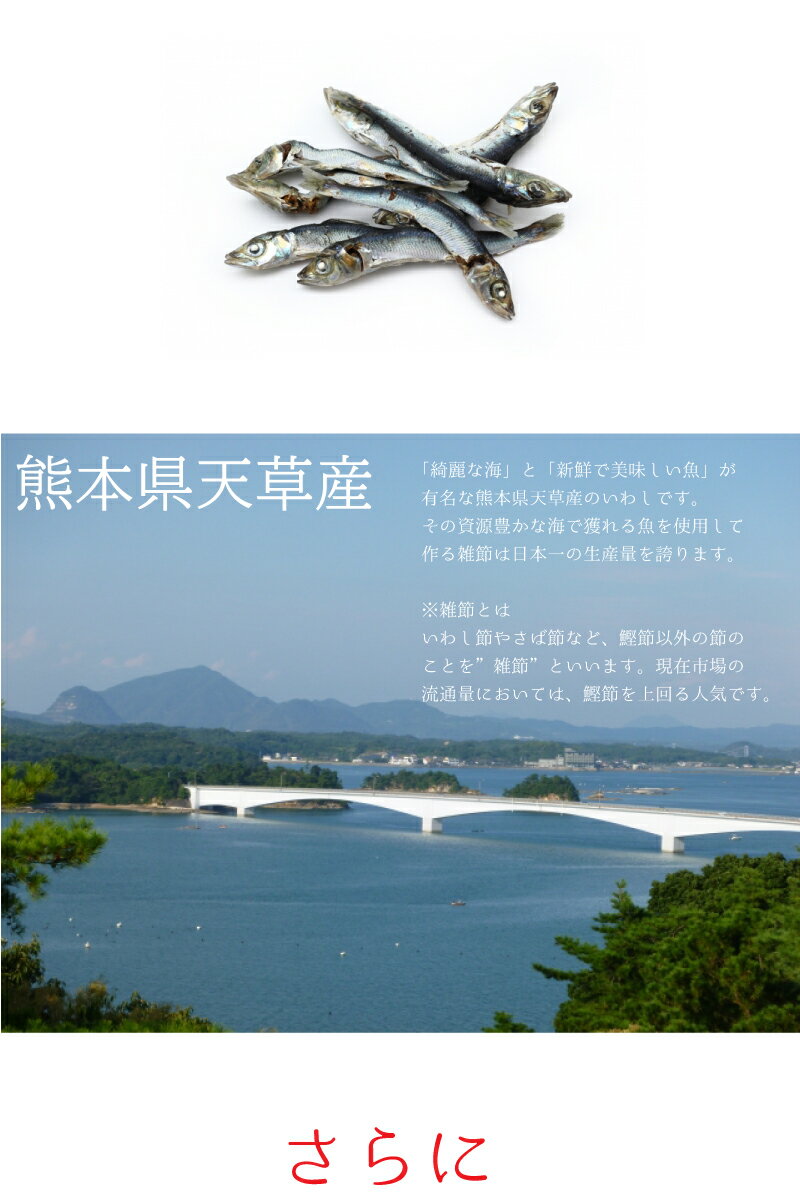 いりこ 煮干し 国産 熊本県産 6kg (3kg x2袋入り)　天草産 食べるいりこ 食べる煮干し 無添加 出汁 健康おやつ カルシウム 間食にぴったり ダイエット