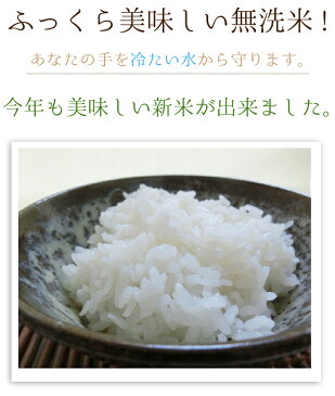 ヒノヒカリ 無洗米 15kg 送料無料 30年 熊本県産 ひのひかり 5kg×3袋入り 白米 精米 通販 お歳暮 御歳暮 内祝い 出産祝い 結婚祝い お中元 御中元 母の日 父の日 敬老の日 ギフト プレゼント 入学祝い お返し