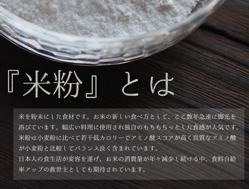 米粉 10kg (5kg x2) パン用 菓子用 製菓用 米の粉 熊本県産米粉 国産 米粉 九州 熊本産 業務用 大容量 送料無料 グルテンフリー パスタ うどん パン粉 スイーツ ラーメン フォー 麺 ホットケーキ 餃子の皮 米粉 米屋の米粉 米の米粉 ライスミルク