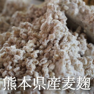 麦麹 麦こうじ 2kg ～ 15kg 生麹 国産 九州 熊本県産 手作り味噌用 合わせ味噌 麦みそ 麦味噌原料 【クール便配送】