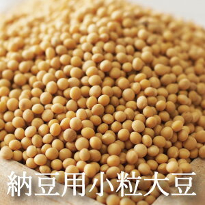 納豆用小粒大豆 900g ～ 20kg 令和4年