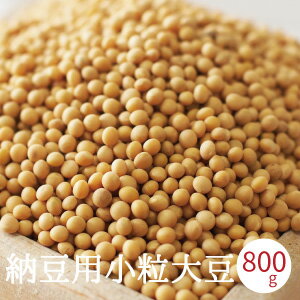 納豆用小粒大豆 800g 令和4年産 国産 すずおとめ スズオトメ 熊本県産 メール便 1000円ポ ...