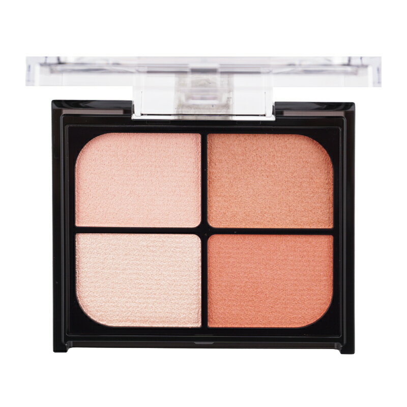 [5���फ�����٤�]KATE ������ �Х��󥷡�����������ɥ� ���� 4.9g �ѥ�������������ɥ� �ѥ��������� �ե��������顼 ���ͥܥ�[���եȥ�åԥ��б�]