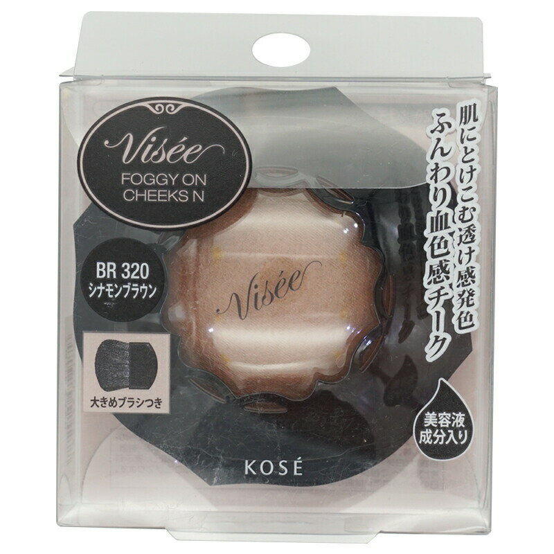 VISEE ヴィセ リシェ フォギーオンチークス